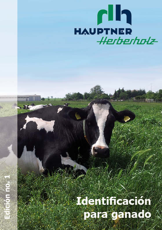 OM-Flyer spanisch